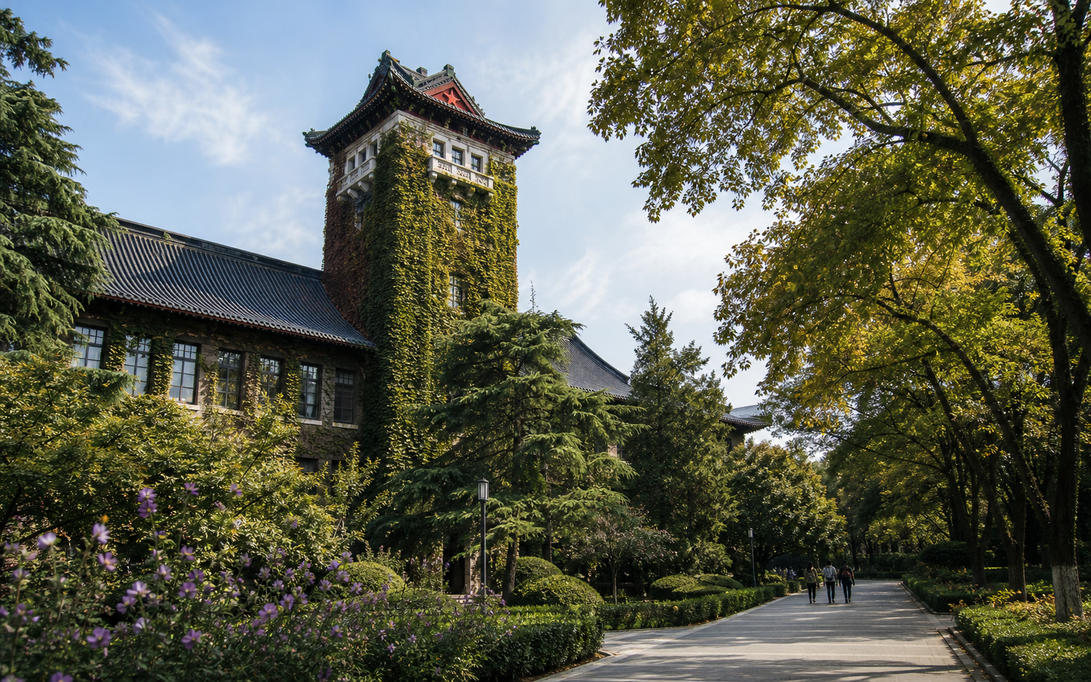南京大学校园环境